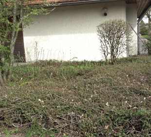 Aussegnungshalle Suppingen