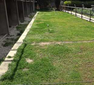 Malta Falconry Centre