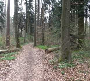 Vitus Mayer Waldlehrpfad