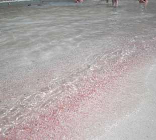 Pink-farbener Sandstrand