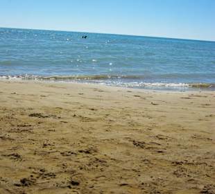 Der Strandbereich Pluto