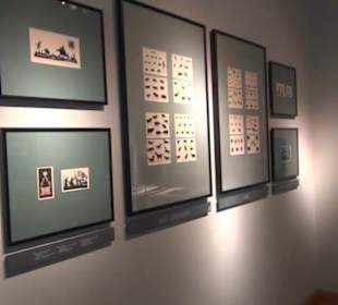 Schloss Lichtenwalde