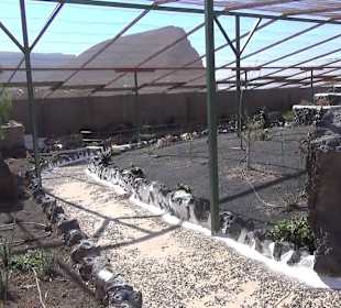 Guinitate Tropical Park