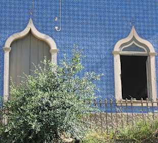 Eine Seltenheit in Praia da Rocha