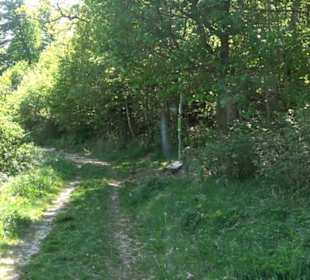 Premiumwanderweg Hochgehschätzt