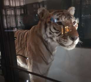 Museum für Naturkunde