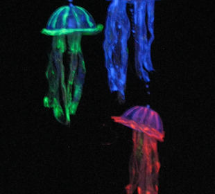 Ausstellung für Kinder