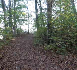 Sonnenfels Sankt Johann