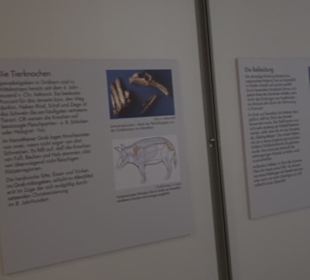 Museum Römer und Bajuwaren