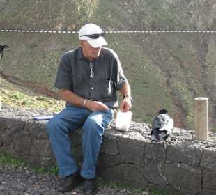 Antonio und die Raben