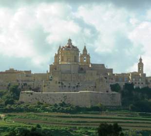 Immer wieder faszinierend