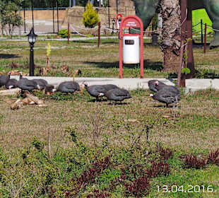 Discovery Park Manavgat