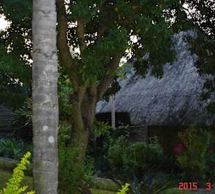 Krüger Nationalpark