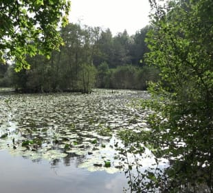 Schaichtalweg - Schlüsselsee