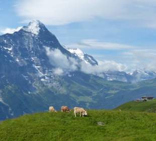 Die Eiger Nordwand