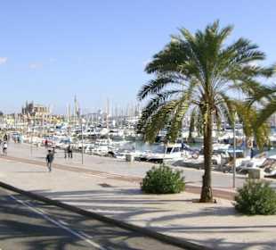 Hafen de Playa de Mallorca