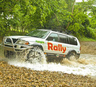 Jungle Rally 4x4 Jeeps