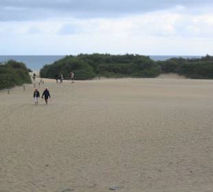 Dünen von Playa del Ingles
