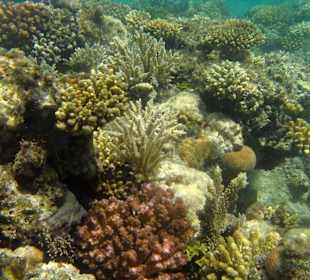 Hotelstrand, Rifflandschaft