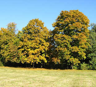 Jesień w Łazienkach