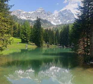 Almsee