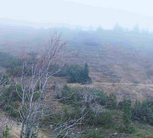 Riesengebirge/Karkonosze