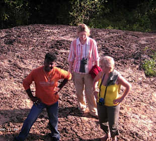 Safari zum Harbana Nationalpark