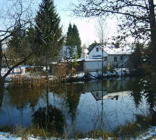 Winterliche Spiegelungen