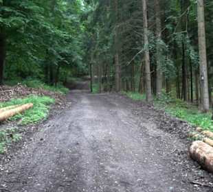 Schutzgebiet Spitzberg, Pfaffenberg