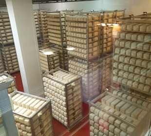 Schaukäserei Drei Zinnen