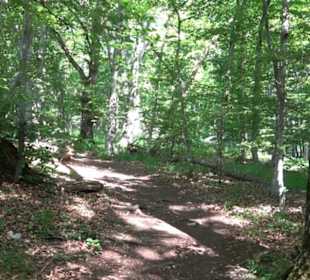 Premiumwanderweg "hochgelegen"