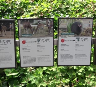 Zoo Heidelberg