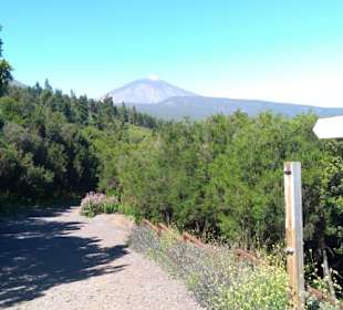  Parque Nacional del Teide