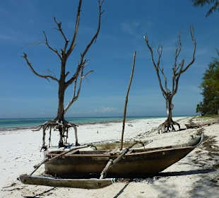 Stilleben am Strand Galu Beach