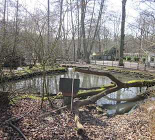 Vogelpark Hassloch