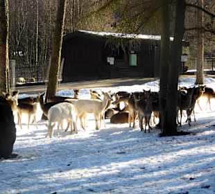 ImpressionOstern2013