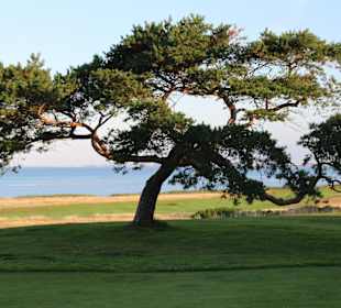 Blick auf den Öressund