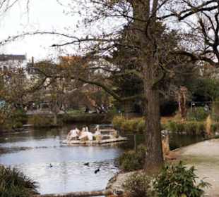 Zoologischer Garten Köln