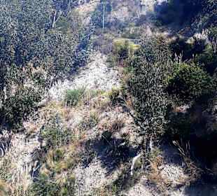 Ausblick Linea Amarilla