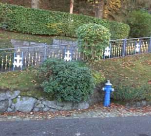 Wallfahrtskirche Maria in der Tanne