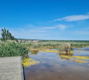 Neusiedler See