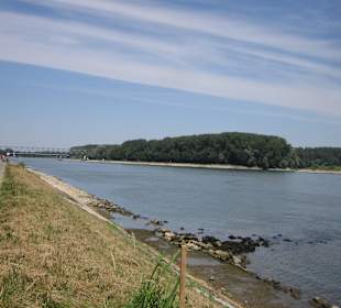Am Rhein in Germersheim Niedrigwasser