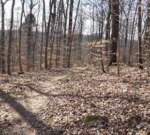 Geologischer Lehrpfad Kirnbachtal