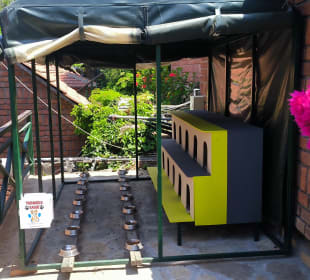 Gartenanlage