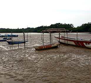 Rundgang Puerto Jeli