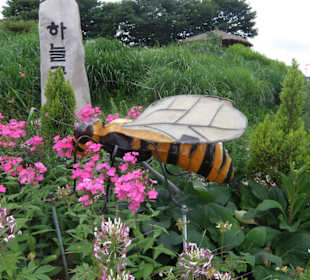 Il parco sui tetti di Seoul