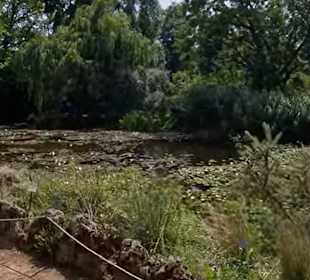 Flora und Botanischer Garten