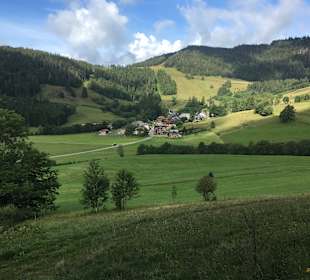 Wandern Bernau