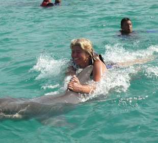 Schwimmen mit Delphin