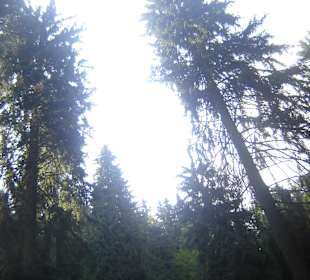 Parcul Natural Apuseni